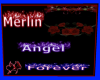 {ALR} Merlin & Angel 