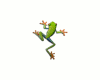 [ML]greenbutterfly/gecko