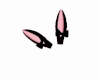 Pink Black Bunny Ears