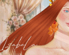 𝐼𝑧.CindyGinger