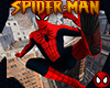 SM: Loading Swing-Man