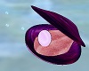 MY Purple Pearl Clam