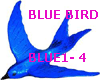 Blue bird light JB