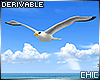 !T! Animated Seagull