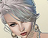 Silver princess hair