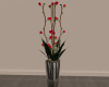 Vase Plant /roses