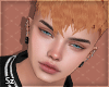 Sz l Ariton Ginger