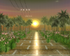 Everything Sunset