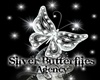 silver butterflies mesa