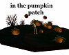 in the pumpkin patch