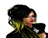 Blk/  Yellow TInt
