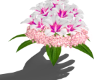 Hibiscus Bouquet + Pose