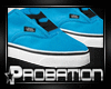 [P]New! SummerVans| AQ