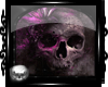 Shades Of Violet Shell