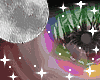 月| Bubbles M/F