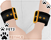 [Pets] Wristcuff | black