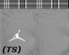 (TS) Grey Jordan Pants