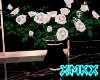 xMKx I DarkGarden Roses