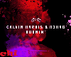 CALVIN HARRIS - BURNIN'