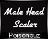 80% HEAD Scaler