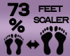 Feet Scaler 73%