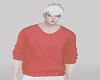 |Anu|V.Knit Sweater*