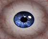 [VGP] Female Eyes Blue