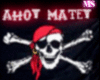 Pirate Flag [Ahoy Matey]