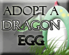 Adopt a Dragon Egg!