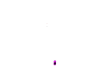 PINK GLO  C8