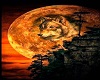 Framed Moon Wolf Pic-2