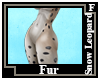Snow Leopard Fur