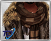 winter jacket male