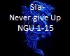 Sia-Never give Up