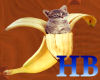 HB- Kitty In Banana