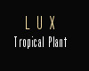 ! Lux Plant