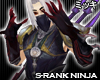 ! S-Rank Ninja Gauntlets