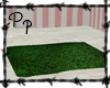 <Pp> Grass Patch