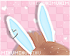 🐾 Bunny Ears Blue