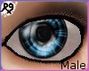 Twilight Blue Eyes M