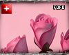m/f bouquet roses pink