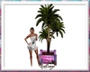 plant palm beach