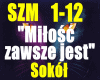 /MiloscZawszeJest-Sokol/