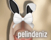 [P] Easter bunny bundle