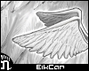 (n)EikCar Wings 2