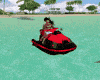 Jet ski with dolphins