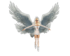 angel 11