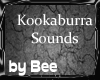 Kookaburra Sounds