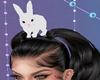 Cute Bunny  Head M / F