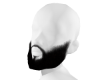 Long Beard [Man] !